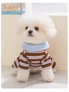 Detailaufnahme eines Hundes mit buntem Polo-Kleid, leicht und ideal für den Frühling.