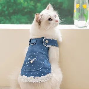 Haustier Hund Katze Geschirr Kleid Denim Spitze Punktmuster Floral Bestickt Sommer Frühling Prinzessin Kleid Für Kleine Hunde Welpen Kätzchen