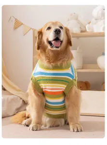 Charming golden retriever wearing a cozy colorful striped dog sweater in a warm indoor scene detail.