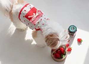 Summer breathable strawberry pet dog clothes with pocket and bow detail for cute puppies.