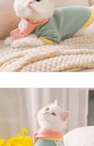 Close-up detail of cute cat wearing autumn winter macaron pet clothes set with scarf and top.