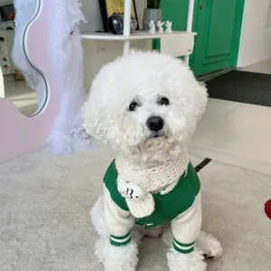 Süßer Haustier Strickpullover Hund Winterkleidung grüne Strickjacke Katzenkleidung