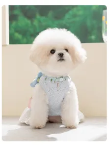 Gedetailleerd overzicht van de kanten huisdierjurk, lichtgewicht vestje voor kleine honden.
