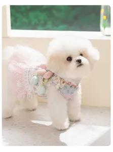 Kleine hond draagt een holle kanten bloemen vakantie jurk met tulp detail in zonnige binnenruimte