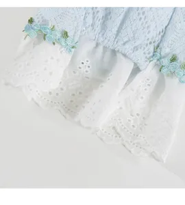 Detailopname van de kanten hondenjurk met fijn blauw bloemborduursel en witte afwerking.