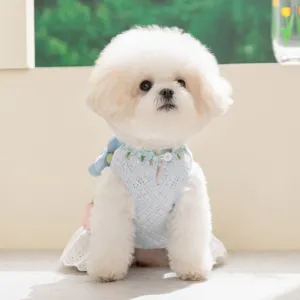 Schattige zomer hondejurk met kanten opbouw en borduurwerk, ideaal voor kleine honden en katten.