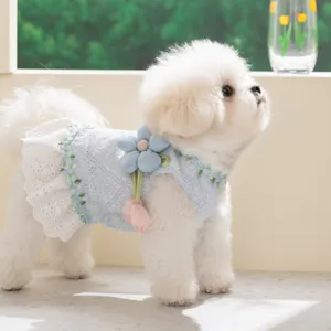 Schattige zomerjurk voor kleine honden, kanten bloemen, vakantiestijl, huisdierkleding kat