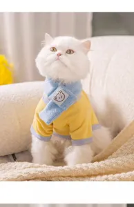 Close-up detail of cute pet sweater with blue scarf and bear patch for cats and dogs