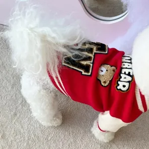 Nahaufnahme eines Hunde-Knitted-Pullovers mit süßem Bären-Patch und Stickerei.