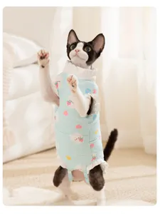 Primer plano de ropa de invierno para gatos azul claro con bonito estampado y cuello de volantes.