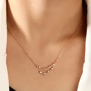 Detaillierte Nahaufnahme der zarten goldenen Sternbild-Strass-Anhänger-Halskette.