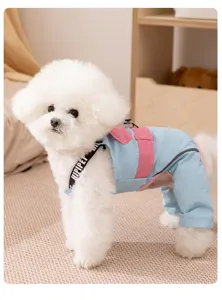 Wasserdichter winddichter Haustier Hunde Overall Winter Outdoor warme Kleidung blau rosa