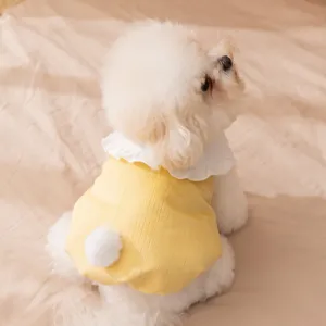 Cute yellow pet dog winter cotton clothes detail with rabbit tail, warm outfit for small puppies.