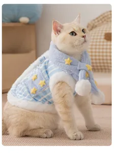 Primo piano dettagliato del gilet con sciarpa a righe caldo autunno inverno per animali domestici.