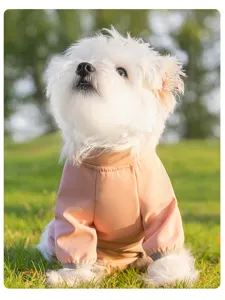 Nahaufnahme eines süßen Welpen in rosa vierbeiniger Fleece-Haustierkleidung für Outdoor.