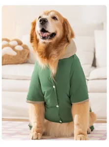 Detailansicht einer gefütterten Hunde-Winterjacke, grün, Kapuze, vierbeinige Haustierkleidung.