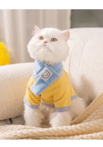 Close-up of cute white cat wearing soft warm autumn winter pet sweater and bear scarf.