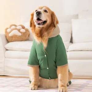 Golden Retriever im grünen kapuzenfütterten vierbeinigen warmen Hundemantel für Herbst Winter.