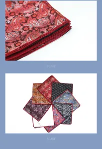 Set de pañuelo de bolsillo paisley clásico para hombre boda traje formal accesorios
