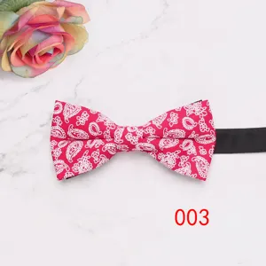 Nœud papillon cachemire rouge pour homme mariage marié mode accessoire cou vue détaillée