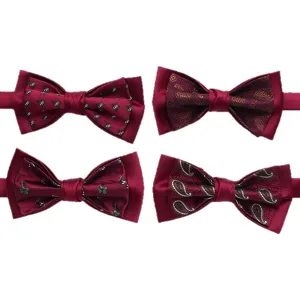 Set papillon doppia borgogna da uomo matrimonio abito formale elegante fantasia paisley