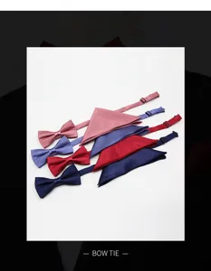 Stropdas strik en pochet set voor heren, elegante formele feest accessoires kleuren.