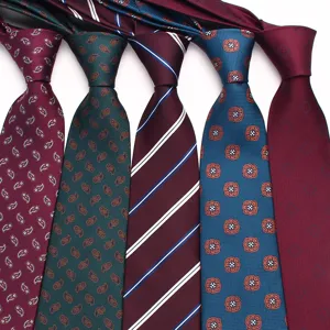 Classic men's silk necktie set, formal business striped paisley tie for weddings and office.