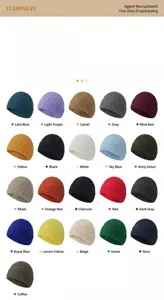Knitted beanie hat color palette chart showing multiple colorful choices