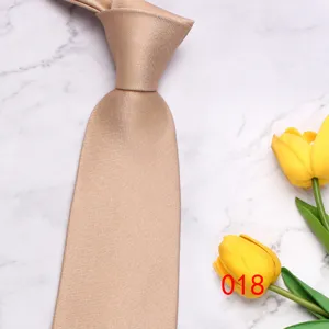 Detailed view of the elegant champagne men's tie with fine texture for business wedding.