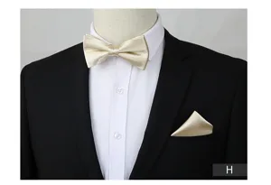 Champagne gouden satijnen vlinderdas en pochet detailopname, elegante heren accessoire.