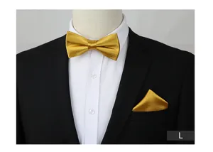 Gedetailleerd overzicht van de elegante gouden vlinderdas en pochet set op een kostuum.