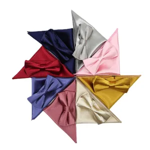 Heren pak feest accessoires vlinderdas en pochet set in verschillende kleuren.
