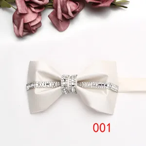 Primo piano di un elegante papillon in raso argento con strass per matrimonio da uomo.