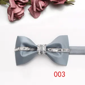 Farfallina argento con strass per uomo, elegante farfallina da sposo matrimonio dettaglio.
