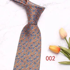 Cravatta Uomo Fantasia Paisley Classica Retro Business Formale Vista Dettagliata