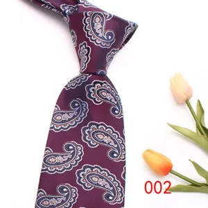 Classic men's purple paisley patterned tie silk wedding business formal necktie accessory