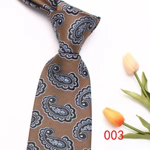 Classic men's brown paisley silk tie business casual formal necktie wedding apparel