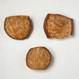 Detailaufnahme natürlicher Bohnenhülsen-Scheiben mit einzigartiger Holzstruktur für DIY.