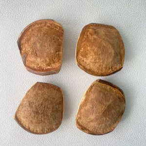 Natürliche Entada Riesensamen Holz DIY Handwerk Samen, rustikale Heimdekoration Stücke.