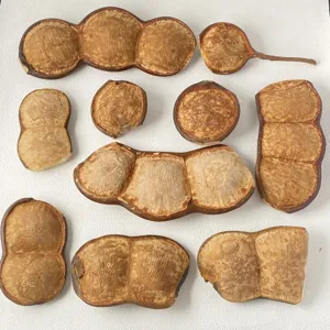 Natürliche Getrocknete Pflanzenpflanzen Bohnen Getrocknete Schoten DIY Bastelmaterialien Heimdekoration Tischdekoration Natürliche Holzstruktur