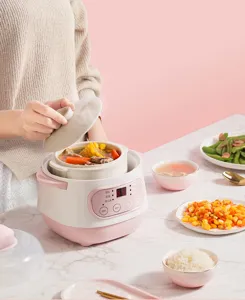Mini electric ceramic stew pot for healthy double boiling, soup, and baby porridge cooking.