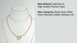 Chic minimalist titanium steel chain necklace, elegant and stylish accessory for modern women.
