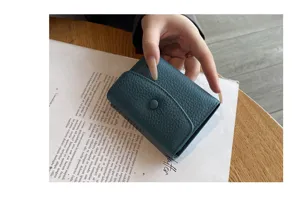 Vue détaillée d'un petit porte-cartes accordéon en cuir véritable compact et élégant.