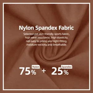 Nahtlose Kreuz-V-Taille Yoga Leggings, atmungsaktive schnell trocknende Fitness Sporthose.