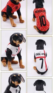 Maillot de football pour animaux de compagnie petit chien gilet respirant été vêtements
