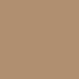Detailed view of the silicone pacifier clip color swatch showing the brown variant option.