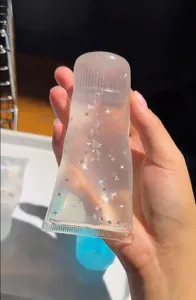 Juguete antiestrés transparente con purpurina de estrella para relajación y descompresión