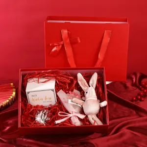 Coffret cadeau rouge avec ruban et sac, petit lapin en peluche mignon et emballage décoratif.