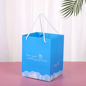 Bolsa de regalo de papel azul cielo bolsa de compras con asas blancas para cosmeticos y regalos.