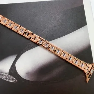 Ersatzarmband aus Harz und Metall kompatibel mit Apple Watch, sehr elegantes Design.